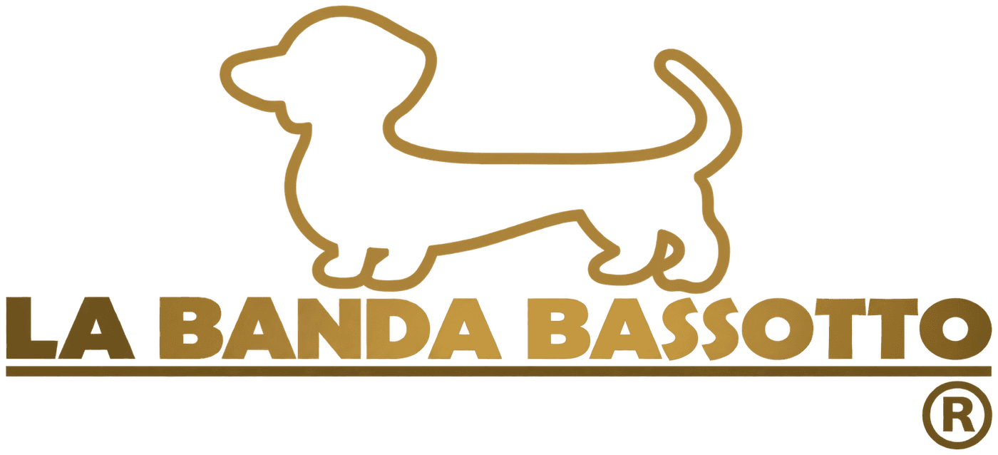 LA BANDA BASSOTTO