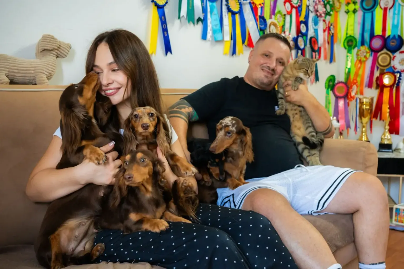 Gatto, altro cane, la casa che già c’è